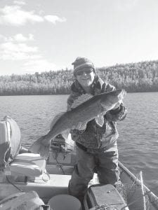 This 29 ¼-inch walleye was caught and released on Hungry Jack Lake on Sunday, October 4 by Greg Amsler from Stacy, Minnesota. Greg and his wife Debbie have been staying at Hungry Jack Lodge for several years.