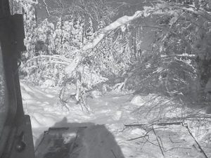 The Cook County Ridge Riders Snowmobile Club shared this photo taken on a Gunflint Trail area trail to show what the recent heavy, wet, snow has done to the trails. Major cleanup is needed and the Ridge Riders— and other snowmobile clubs, as well as ski clubs—are encouraging winter sports enthusiasts to join the cleanup.