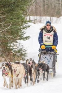 Last year’s John Beargrease Sled Dog Marathon champion was Ryan Anderson of Ray, Minnesota. Anderson finished the race in 2 days, 11 hours and 55 minutes, beating three-time Beargrease champion Nathan Schroeder by just 28 minutes. Organizers are hoping for enough snow to start the race January 31, 2016.