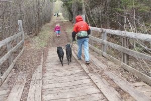 The ISD 166 school board agreed to work with the Superior Cycling Association to enhance two miles of trails on the Grand Marais school grounds.