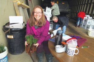 Above: Tina Hegg spent a chilly day outside ensuring everyone was able to find their seedlings. People from throughout Cook County came by to fill their bags and boxes with spruce and pine seedlings. Left: Marnie and Ken McMillan with a couple of their spruce seedlings.