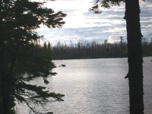 The Bettenhausen family shared this photo of a moose cow and calf approaching one of the islands on West Pope Lake back when they introduced the idea of naming the islands.