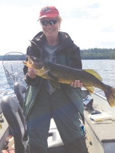 Above: Beth Brostrom of White Bear Lake caught 28.5-inch and 30.5-inch “hog” walleyes fishing with Mike Berg, owner of Seagull Creek Fishing camp. The family party of Gail Englund, Beth and Andy Brostrom, and Paul Laken caught limits of walleye on Saganaga on July 31. They also picked quarts of blueberries on a Sag island.