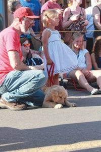 Above: Little Amelia Wilkes and her grandfather, Steve Deschene, wait for results in the Cutest Puppy Contest. Her 5-month-old yellow lab Freda earned them “Best Handler” for medium puppies.