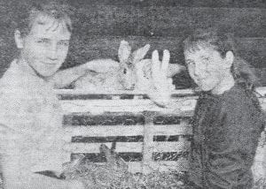 The 1960 Cook County Fair was a huge success, featuring pony rides and displays of all types of animals – even entries of cattle for the first time in many years! Shown with their rabbits are Virginia and Kathryn Krotz, daughters of Mr. and Mrs. Clarence Krotz of Maple Hill. Their exhibit was one of four rabbit pens, and won a blue ribbon.