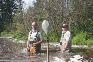 Above: Sea lamprey are weighed and measured when caught. Rewald said this one was 2- to 3-years-old. Left: Rewald spreads a chemical into the water that sinks to the bottom of the river and deprives the young lamprey of oxygen, which then drives them to surface where they can be caught.