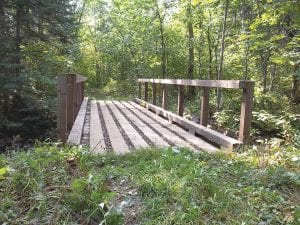 Before trail clearing, this bridge was barely visible on the overgrown trail.