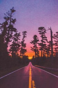 Although the weather is getting colder, fall brings with it brilliant skies. The instantly recognizable pines on the Gunflint Trail were glowing in the early morning sun last week.