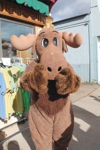 Children beware! Murray the Moose will soon be on the loose and he likes to give big hugs! Grand Marais will soon be over run with moose, or at least lovers of moose during the 6th annual Moose Madness weekend that runs from Friday, October 21 to Sunday, October 23. Come for the many activities and be sure to say hi to Murray!