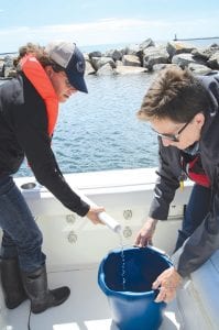 Pictured here is a composite sample being taken, collecting water from three locations and mixing them. The water from the bucket is tested for a variety of chemicals: e-coli, total phosphorus, total chlorophyll-a, total suspended solids, volatile suspended solids, chloride, nitrogen, and nitrate + nitrite. Ilena Hansel (L) and Yvonne Caruthers are pictured sampling the water.