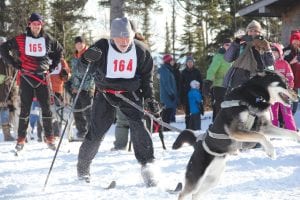 Taking a break from singing and playing his guitar, Michael Monroe and his plucky dog named Puckey got an exuberant start at the 7-kilometer skijoring race held at Pincushion Mountain last Sunday. Puckey, who also has an excellent singing voice, and Michael finished in third place in the fun-filled race.