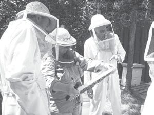 Thunder Bay beekeeper and former Ontario bee inspector Jeanette Momot checks hives in Thunder Bay as she looks for queens to send in packages to Cook County. A bee keeping workshop will be held Feb. 25 at Fond du Lac Tribal and Community College. For more information, contact Courtney Kowalczak at (218) 879-0862 or via email at courtneyk@fdltcc.edu.