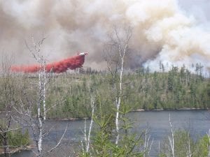 Ten years ago the Ham Lake fire devastated the forest on the upper portion of the Gunflint Trail. To celebrate the regrowth of the area there will be a commemorative event, held at the Seagull Lake Community Center on Saturday, May 6. The Ham Run will also be held the same day.