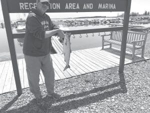 Gary Radloff was kind enough to share this picture of the king salmon he caught last week. With no reports of kings caught anywhere on the North Shore, it was nice to see at least one is around. Not only are kings beautiful fish that put up epic fights when hooked, they are also great on a plate, provided they have been cooked, of course.