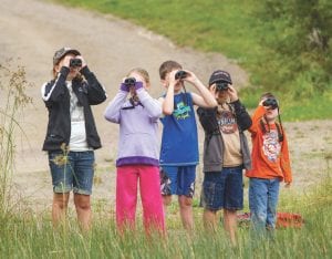 Kids have plenty to look at when they visit the Chik-Wauk Nature Center. Not only are there displays and sometimes activities inside, there are hiking trails galore to explore.