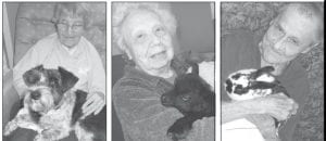 Left: “Maizy”, a cute pup that is a frequent visitor at the Care Center, found a comfortable place to rest with Flossie Palmer. Middle: Lorraine Wipson cuddles with “Emil,” an 8-day-old-lamb, who visited the Care Center recently. Right: Audrey Pollock and “Remedy Rose” are pictured here spending some quality time together.