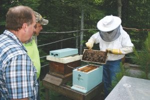 Above: With Bill Wehseler and Jesse Derscheid (cap) looking on, Mark Ditmanson takes out a comb of bees to see how they were doing. There are about 20 beekeepers in Cook County, and they work together to ensure the health of the local honeybee population that originally came from Thunder Bay, Ontario.