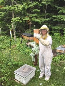 Left: Louise Reavis holds a “swarm” her husband David captured that was high up in a maple tree. Louise put the swarm into their new home, a bee box located in the Reavis bee yard.