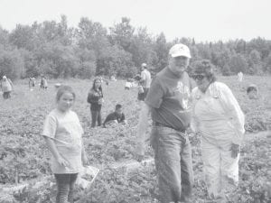 Grand Portage Elders are busy enjoying the summer weather this year. Here are Bob and Eddie Hertzberg with a young helper picking strawberries in Canada.