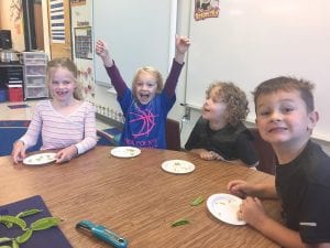 Hard-working gloriously happy kindergartners help shell peas. From left are Elizabeth DeWitt, Ruby Hawsen, Kian Orest, and Aitan Seim.