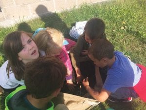 Top: Kwinn Anderson looks up as her fellow classmates harvest potatoes. Above: Pea shuckers extraordinaire are, from left, Karis Ford, RosaBella Arrellin and Miles Ekstrom. Left: Kallie Anderson, 4th grade, helps prepare stone soup.