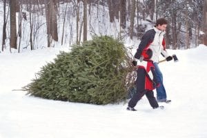 Cutting a Christmas tree is a family tradition for many. But if you do cut a tree and it’s on state land, you will need to get a permit from the Superior National Forest office before you head out into the great outdoors. Also, remember that cutting a Christmas tree or boughs is not allowed inside the Boundary Waters Canoe Area Wilderness.