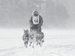 Booted and running like the wind, these gloriously happy sled dogs pull this musher and sled at breakneck speed in the Gunflint Mail Run. Fans of sled dog racing will be happy to learn that the Gunflint Mail Run will be held January 6 and 7.