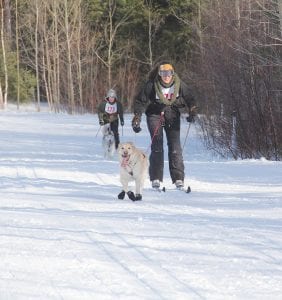 Puppy power! Pulled by dogs, these cross country skiers pictured are taking part in an event called skijoring, which will once again be part of the Pincushion Mountain Family Ski Festival events that will be held the Sunday of President’s Weekend. There will also be regular cross country ski races as well as fat tire bike demonstrations and activities for youth.