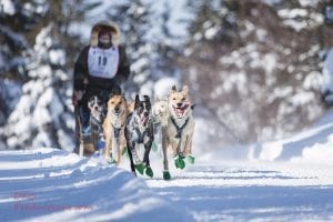 Hovland musher Dennis LaBoda raced to his third win in four years at the CopperDog 150 race held in Calumet, Michigan. Fellow musher Frank Moe, a neighbor of LaBoda’s, said this might be the most competitive field of sled dog racers gathered in one place in the lower ’48. Congratulations to Dennis on his fine win!