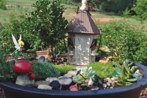 Diane Booth will be at the Senior Center on Wednesday, May 23, from 9 to 11 a.m. to instruct a class on how to make fairy gardens. The fee is $30 and includes plants, soil, base, and instruction. To enroll, you must call by May 1 so plants can be ordered ahead of time. Call the Senior Center at 218-387-2660. Let us know if you are interested in making a sun or a shaded area fairy garden.