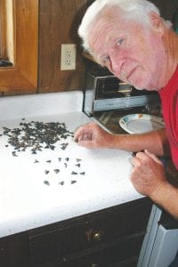 Grand Marais resident Bob Brandt spent some of his time in Florida this winter hunting for shark’s teeth on the beaches. Pictured here are just a few of the teeth that Brandt found. Note the differences in their shape. Some have serrated edges while others are somewhat flat.